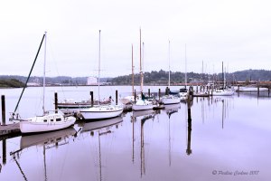 Photo sailboats in Coos Bay, Oregon taken with a Sigma 35 Art lens.