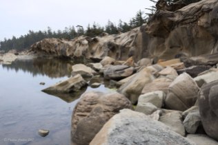 Photo of pond at Shore Acres State Park on a cliff overlooking the ocean.