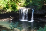 Photo of Butte Creek Falls from the trail.