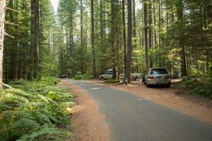 Photo of road going through Lower Falls Campground