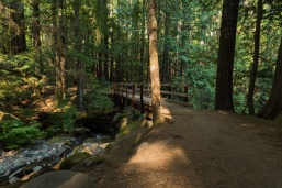 Photo of a bridge on the trail