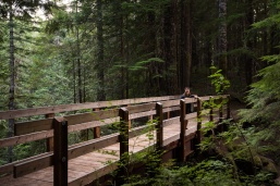 Photo of a bridge on the Lewis River Middle Falls trail
