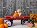 Pauline’s Photography teddy bear seated in red radio flyer wagon in front of a weathered barn door