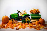 Pauline’s Photography with John Deere Tractor and pumpkins